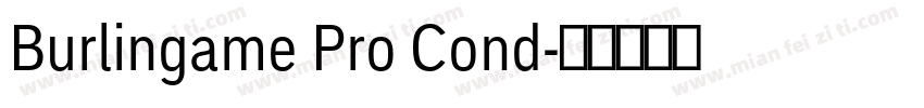 Burlingame Pro Cond字体转换